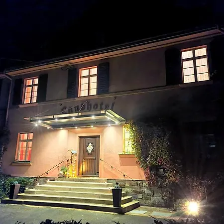 Landhotel 酒店 3*